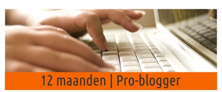 12maanden | Pro-blogger
