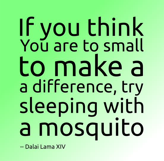 Mosquito