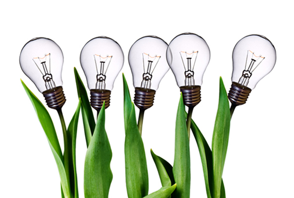 Lightbulbs