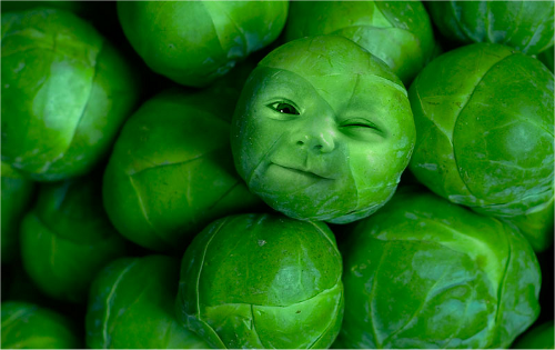 Spruitjes