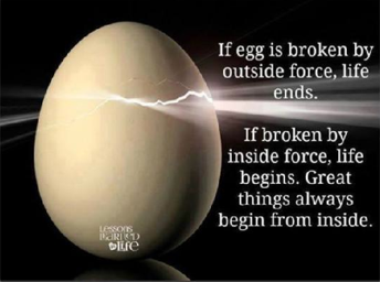 Eggisbroken