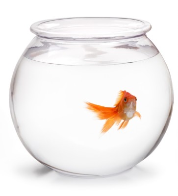 Fishbowl
