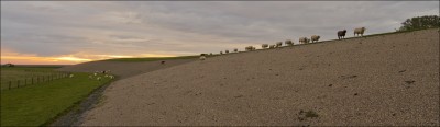 Kopofstaartgroep2