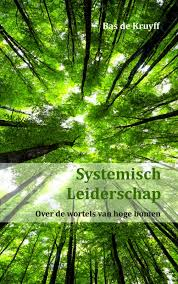 systemischleiderschap