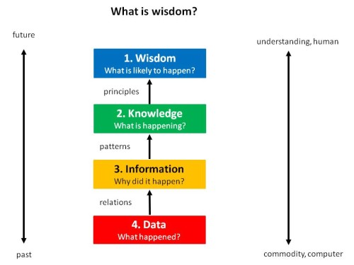 weconomics 5 wisdom