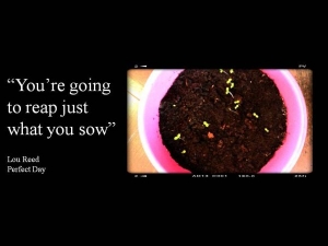 weconomics 7 reapsaw