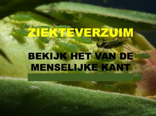 ziekteverzuim