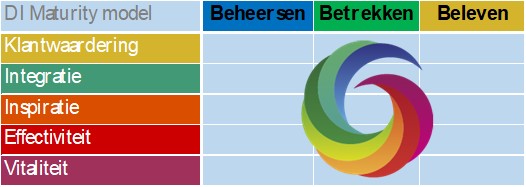 DI Maturity model compact