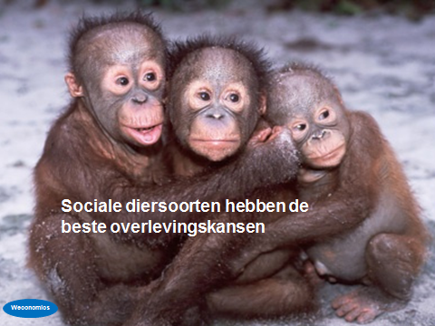 weconomics 8 socialediersoorten