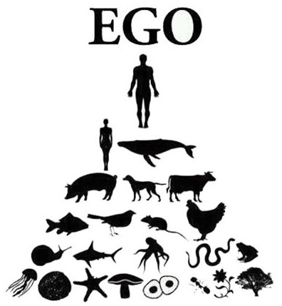 weconomics 9 ego