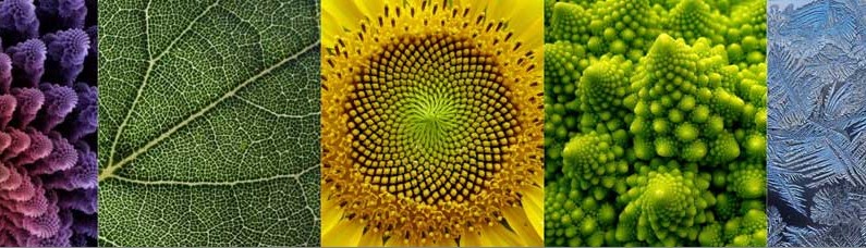 fractals