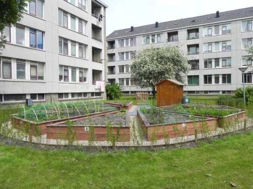 weconomics 12 garden